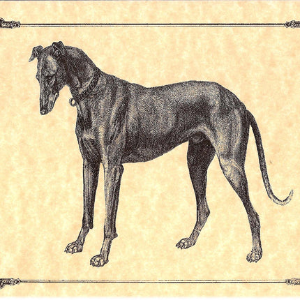 Vintage Greyhound Note Card Set