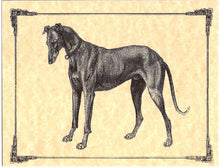 Load image into Gallery viewer, Vintage Greyhound Note Card Set
