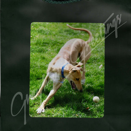 Greyhound Gift Bag Set