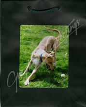 Load image into Gallery viewer, Greyhound Gift Bag Set
