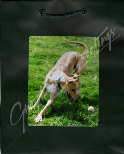 Greyhound Gift Bag Set