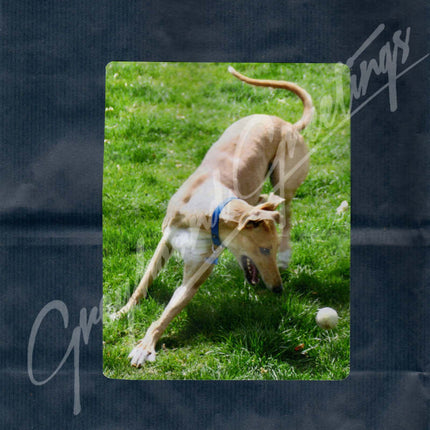 Greyhound Gift Bag Set
