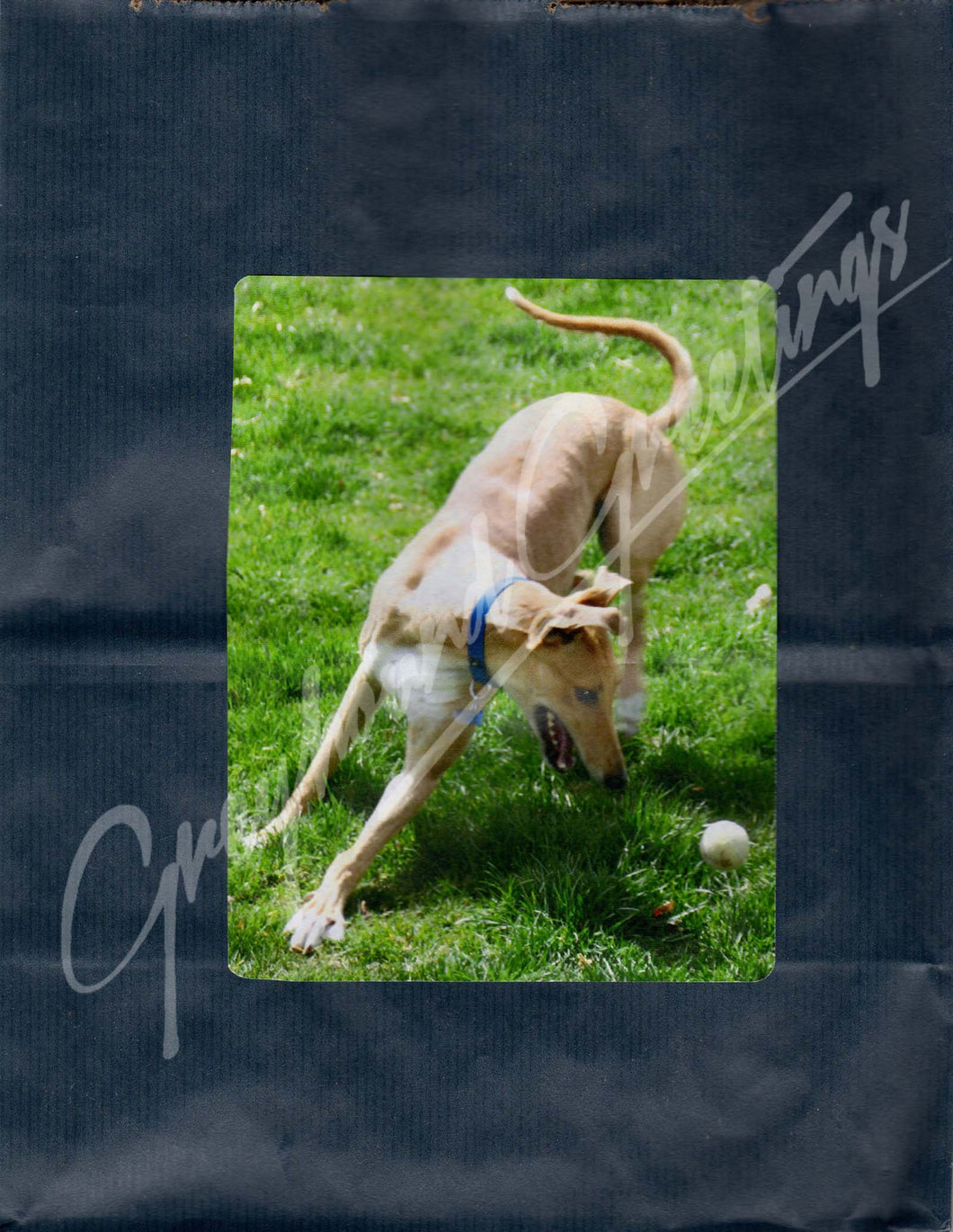 Greyhound Gift Bag Set