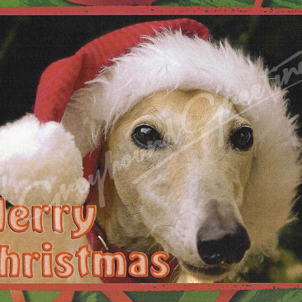 Greyhound Christmas Card Set