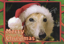 Load image into Gallery viewer, Greyhound Christmas Card Set
