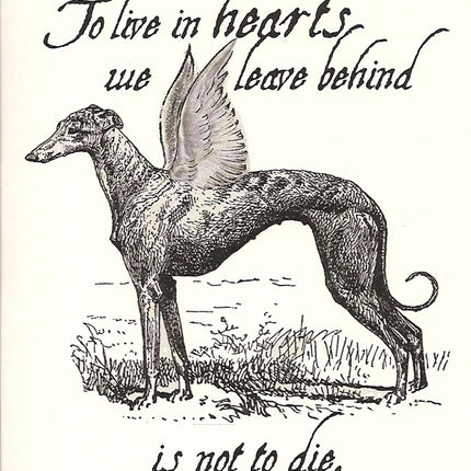 Greyhound Sympathy Card