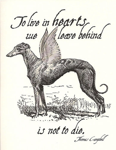 Greyhound Sympathy Card