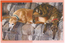 Load image into Gallery viewer, Greyhound Note Card Set
