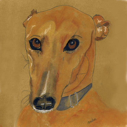 Greyhound Notecard Assortment