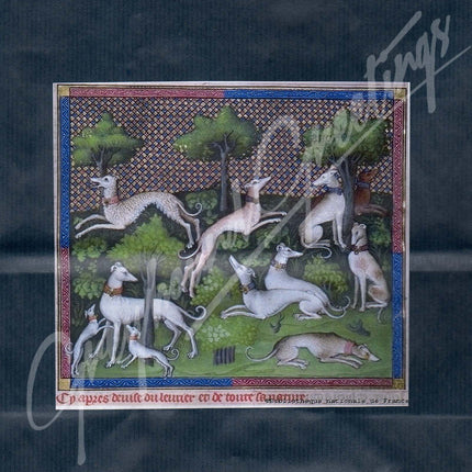 Greyhound Gift Wrap Bag Set