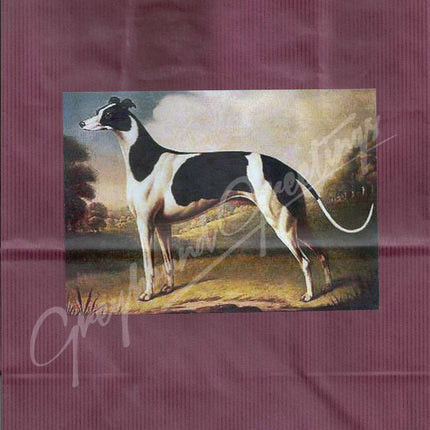 Greyhound Gift Bag Set