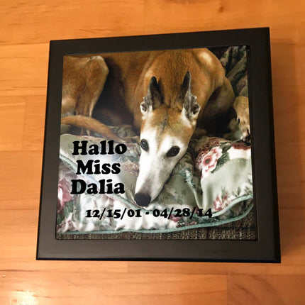 Greyhound Memory Box