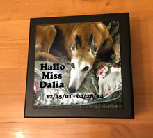 Load image into Gallery viewer, Greyhound Memory Box
