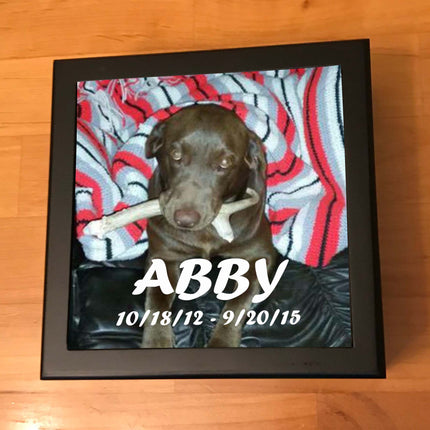 Greyhound Memory Box