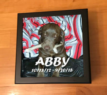 Load image into Gallery viewer, Greyhound Memory Box
