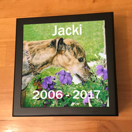 Greyhound Memory Box