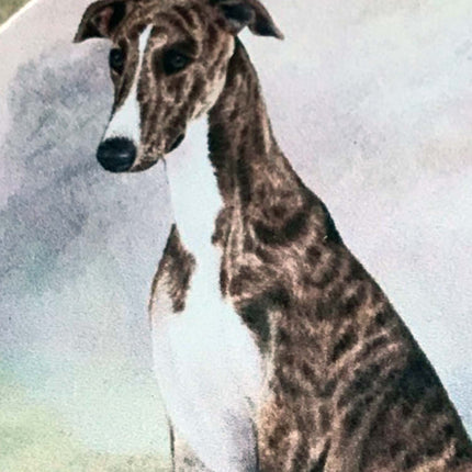 Stone Greyhound Coaster