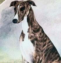 Load image into Gallery viewer, Stone Greyhound Coaster
