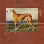 Rust