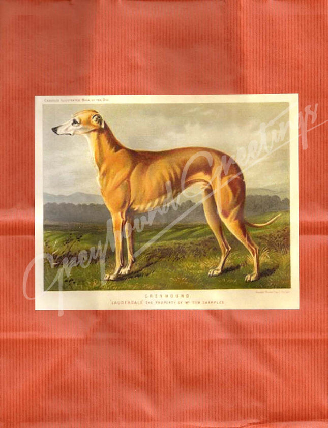 Greyhound Gift Wrap Bag Set