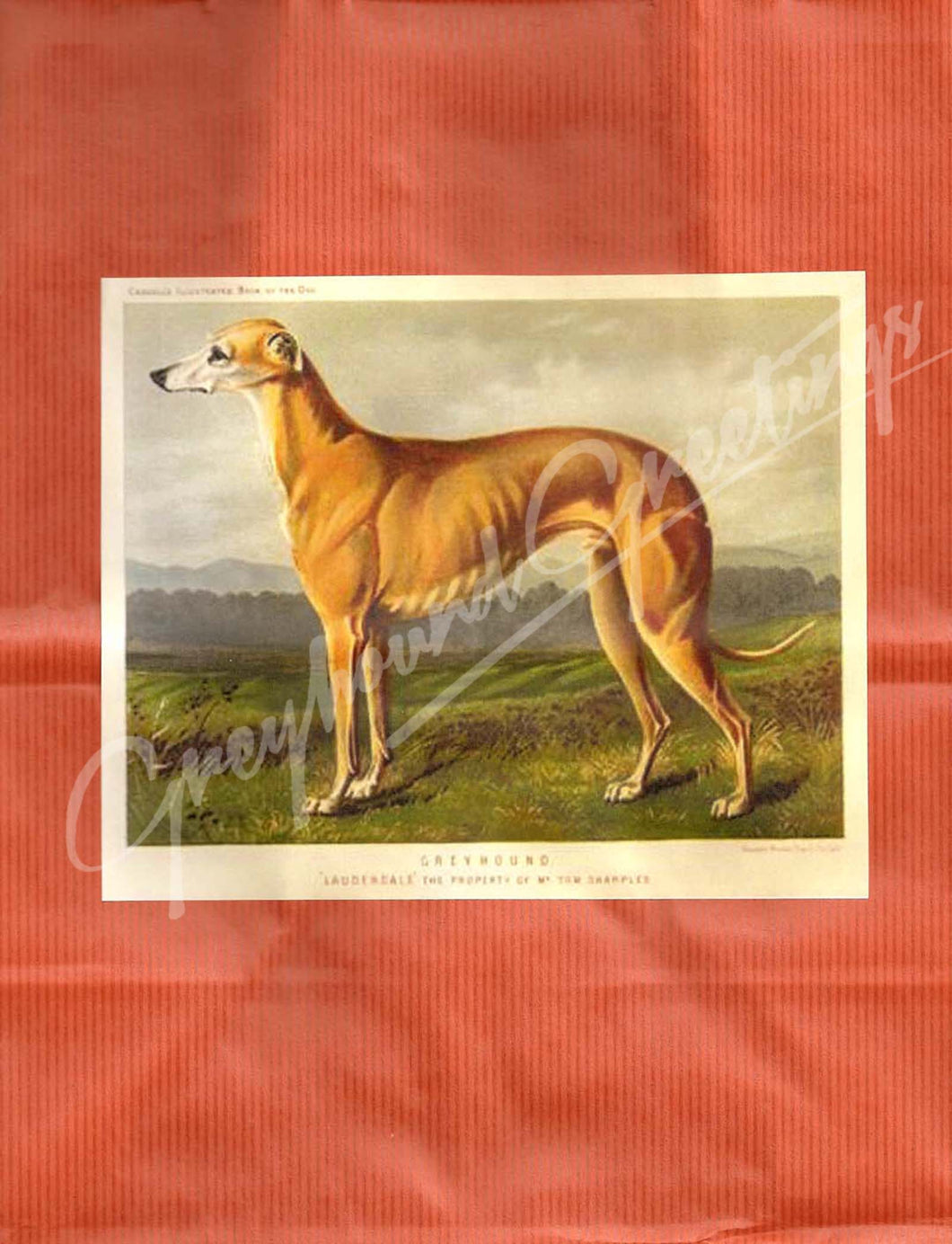 Greyhound Gift Wrap Bag Set