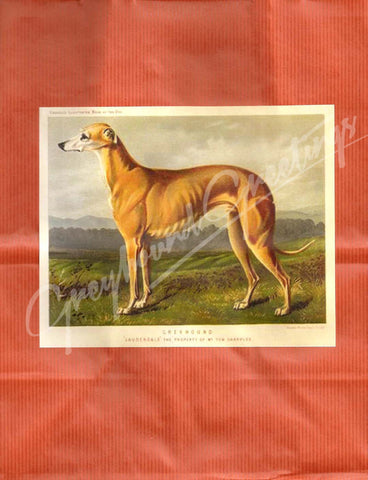 Greyhound Gift Wrap Bag Set