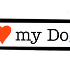 Dogs