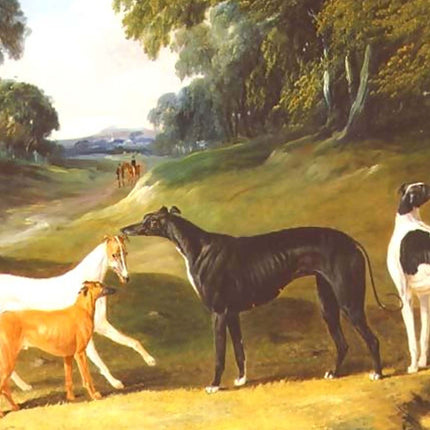 Greyhound Luggage Tags