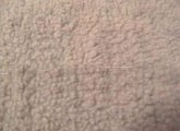 Washable Pet Bed