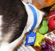 Load image into Gallery viewer, Quiet Spot Pet Tag Silencer
