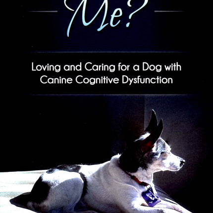 Remember Me? Book