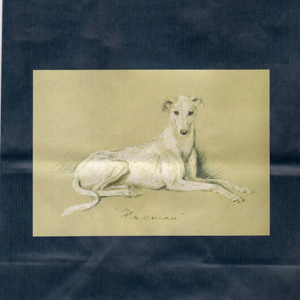 Vintage Pencil Sketch Greyhound or Whippet Dog on Navy or Plum Gift Wrap Bag Set w Card