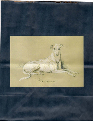 Vintage Pencil Sketch Greyhound or Whippet Dog on Navy or Plum Gift Wrap Bag Set w Card