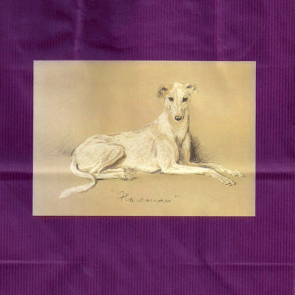 Vintage Pencil Sketch Greyhound or Whippet Dog on Navy or Plum Gift Wrap Bag Set w Card