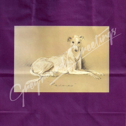 Vintage Pencil Sketch Greyhound or Whippet Dog on Navy or Plum Gift Wrap Bag Set w Card